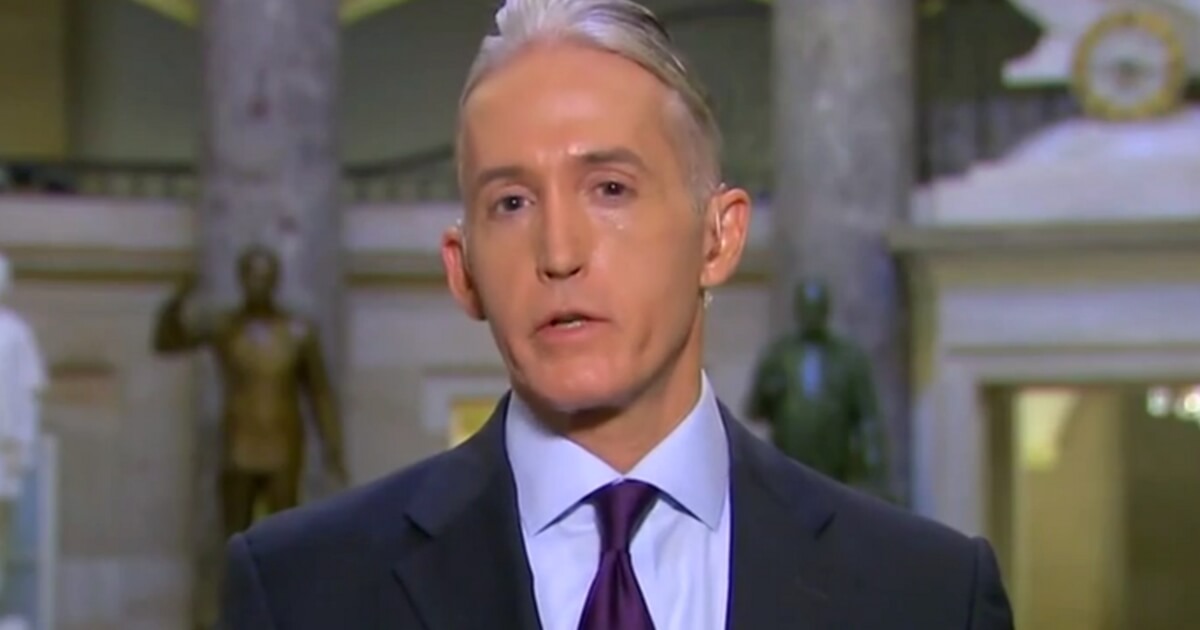 Gowdy Sounds Off After Shooting: ‘Show Me A Law That Will Prevent The Next Mass Killing’ (Video)