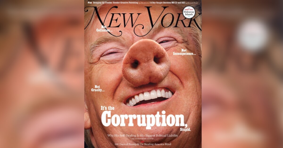 Image result for new yorker trump pig cover