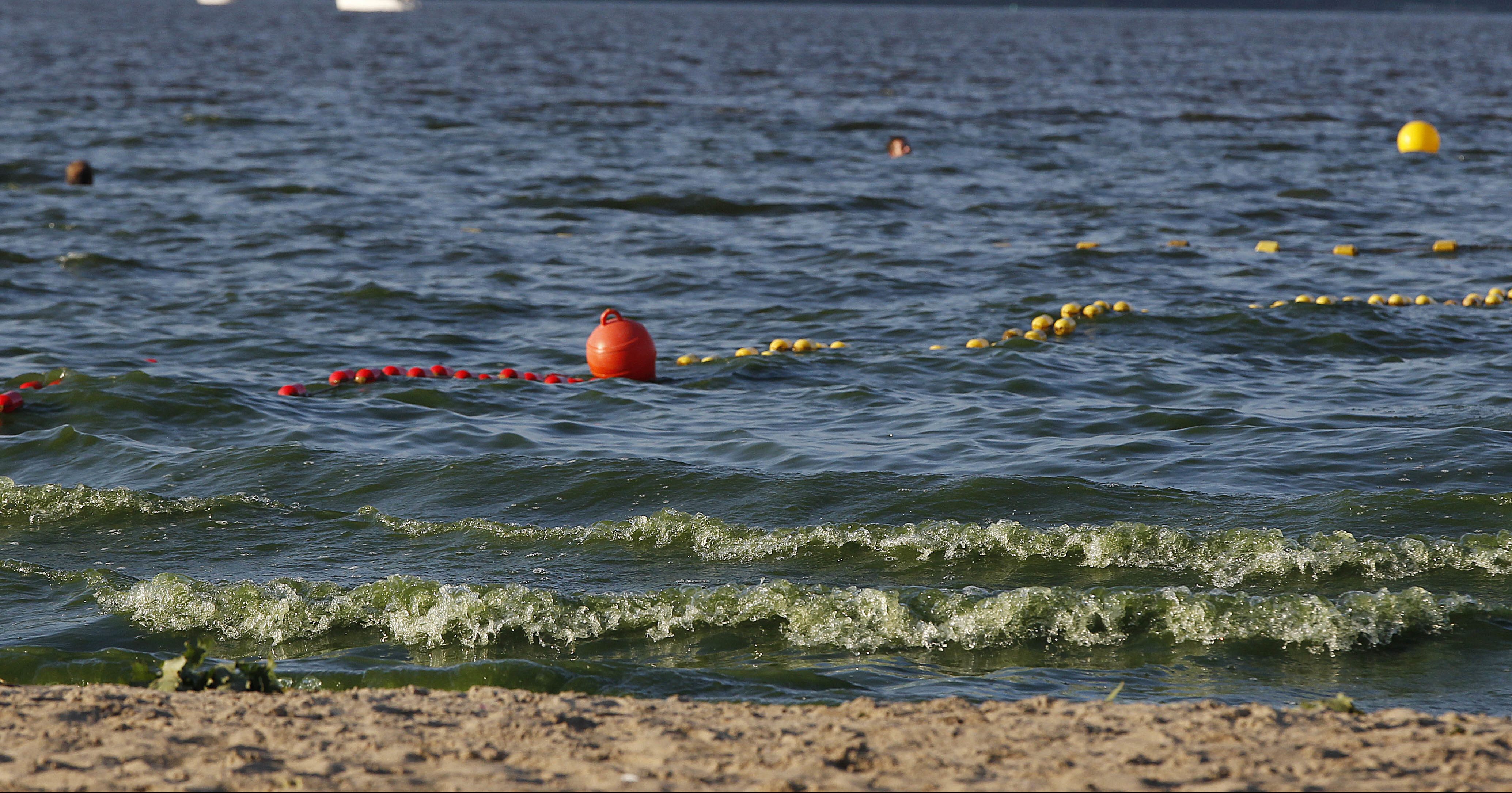 Poland Algae Blooms