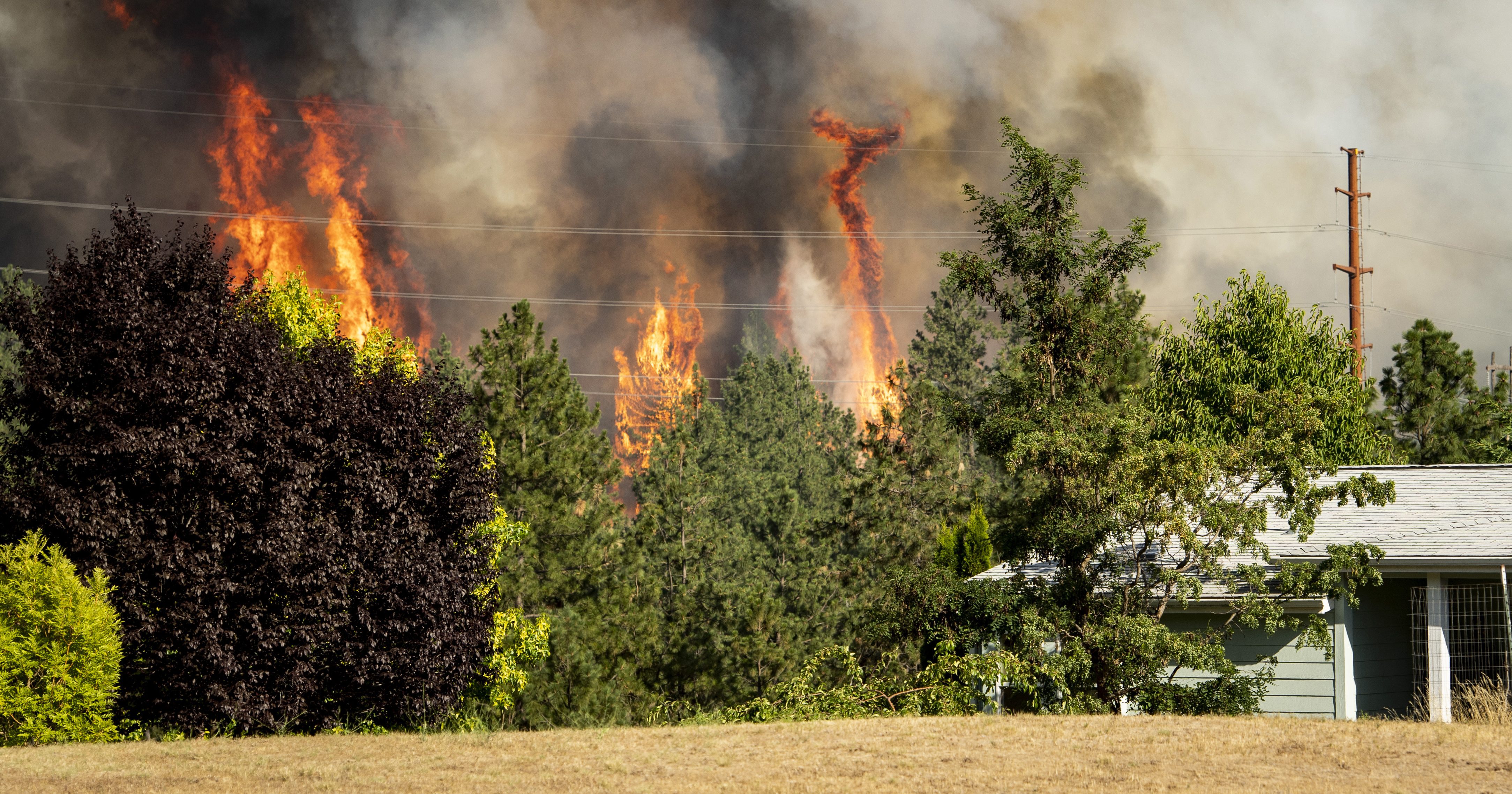 Trees burn near a home Tuesday, July 17, 2018 in Spokane, Wash. Fire crews from Spokane, Spokane Valley and Fire District 9 are fighting a fast-moving wildfire just north of Upriver Drive that has engulfed several homes and prompted fire officials to call for a level three evacuation for homeowners in the area.