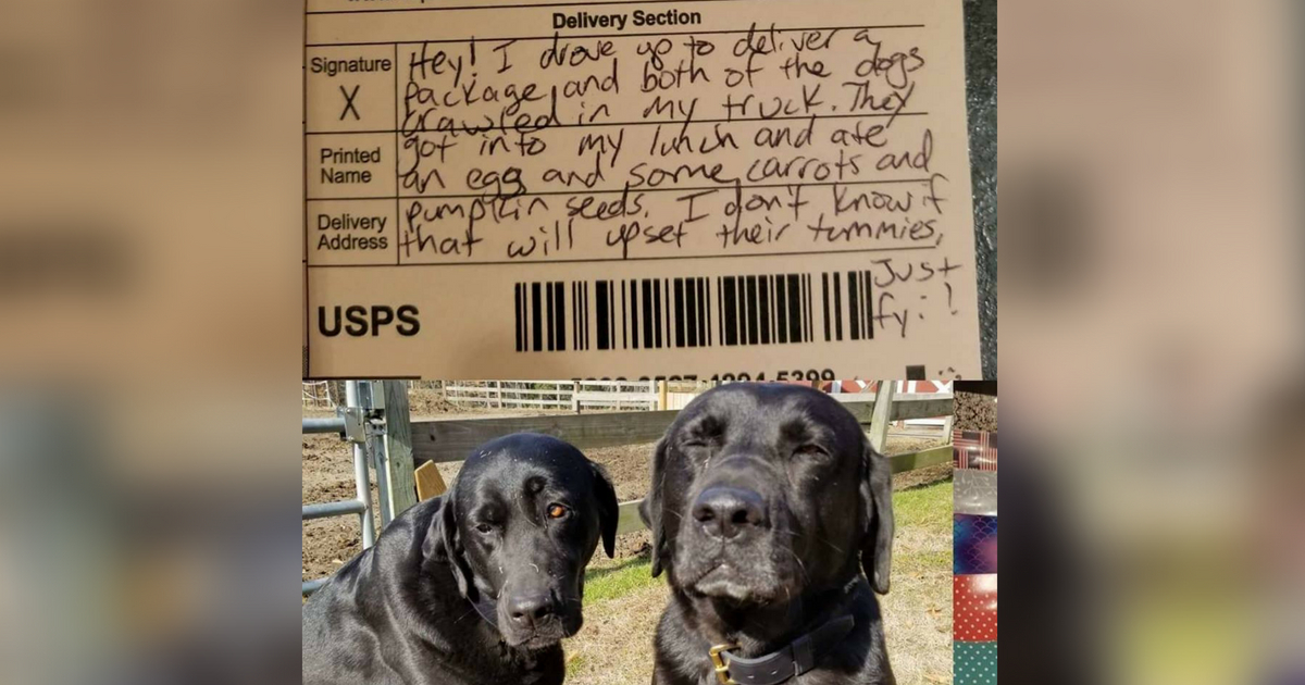 Two black labs leave note for mail carrier.
