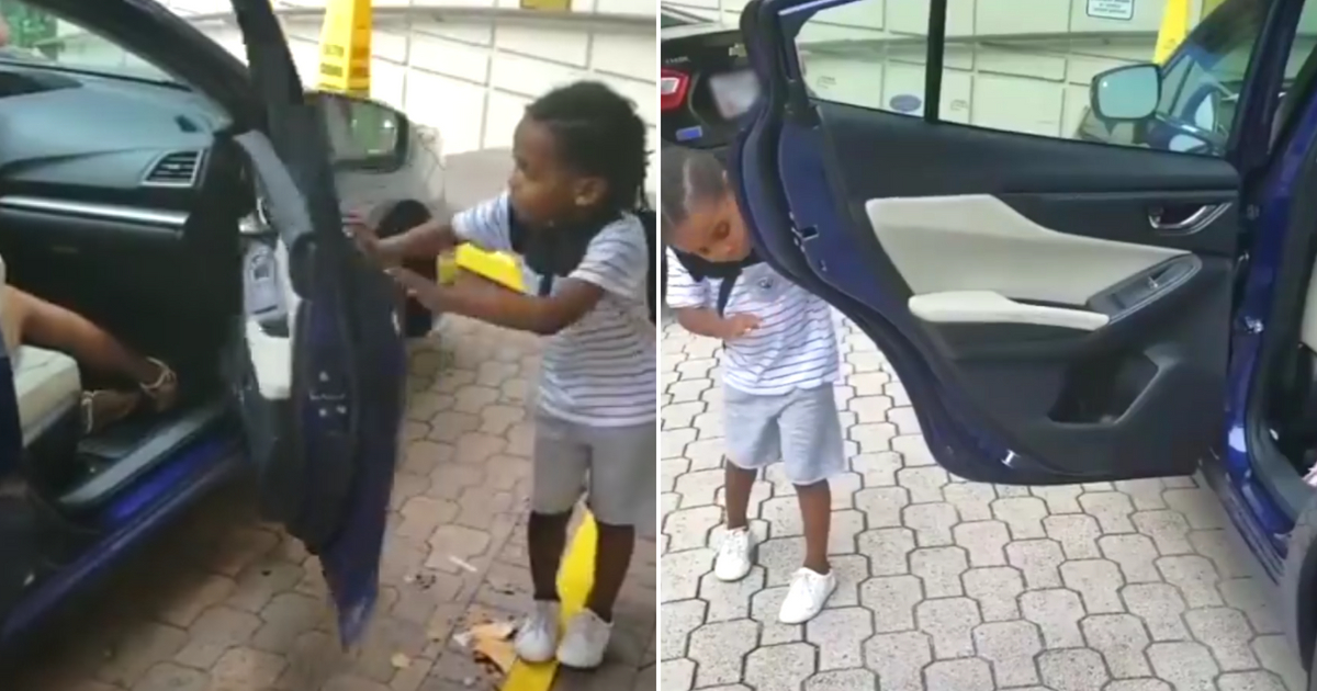 Little boy opens car doors.