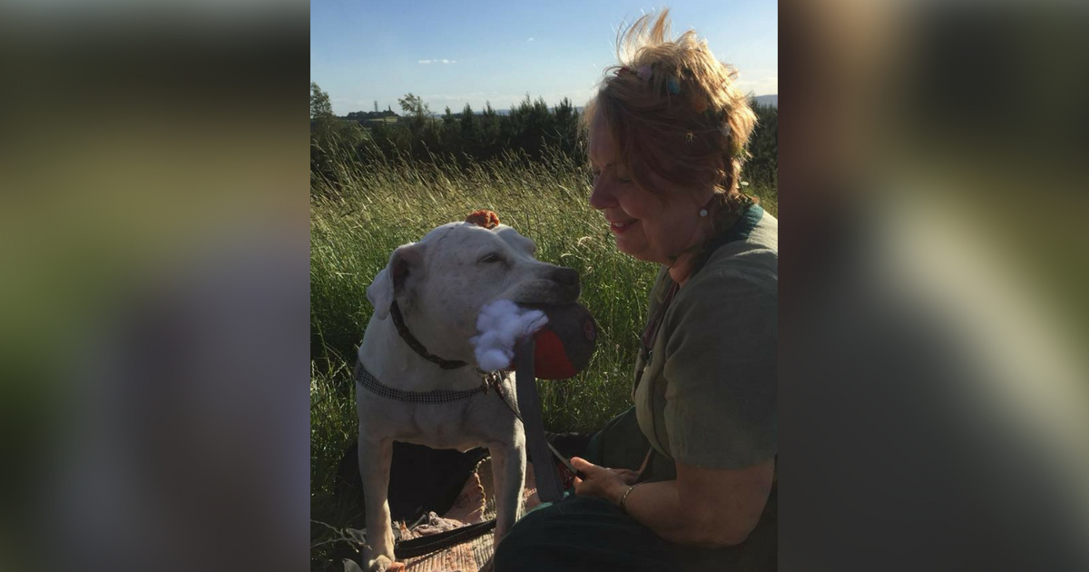 Nicola Coyle sacrifices her own home to take in abandoned dogs that will die soon, and she houses them, giving them the best last days of their lives.