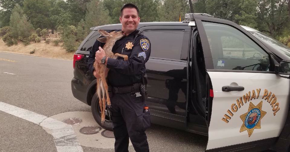 A deer kisses a policeman