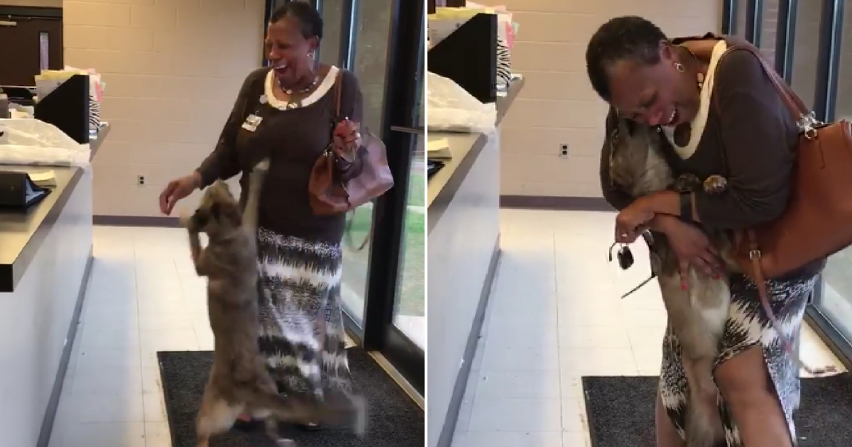 Dog and Owner Dancing