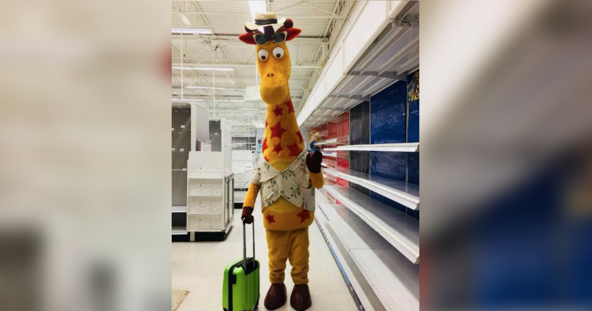 Geoffery the Giraffe was offered a job at a Texas zoo.