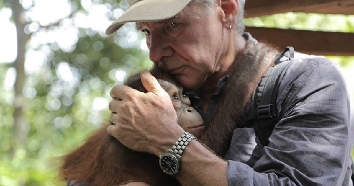 Harrison Ford hugs an orangutan