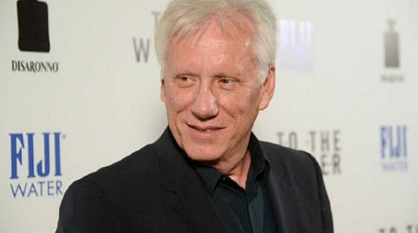 Hollywood actor James Woods at the 2013 opening of 'To the Wonder.'
