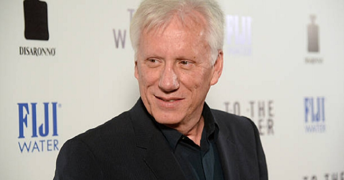 Hollywood actor James Woods at the 2013 opening of 'To the Wonder.'