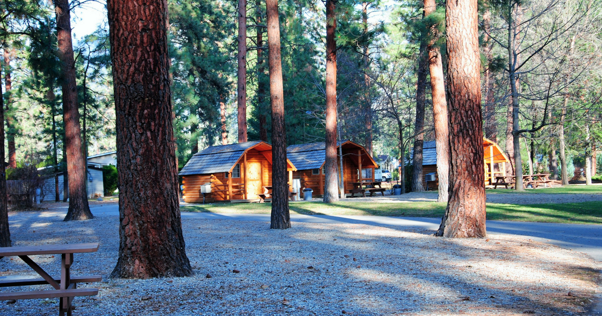 cabins in a park