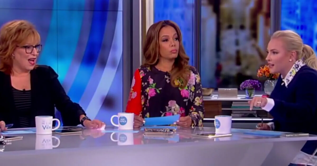 'The View' panel