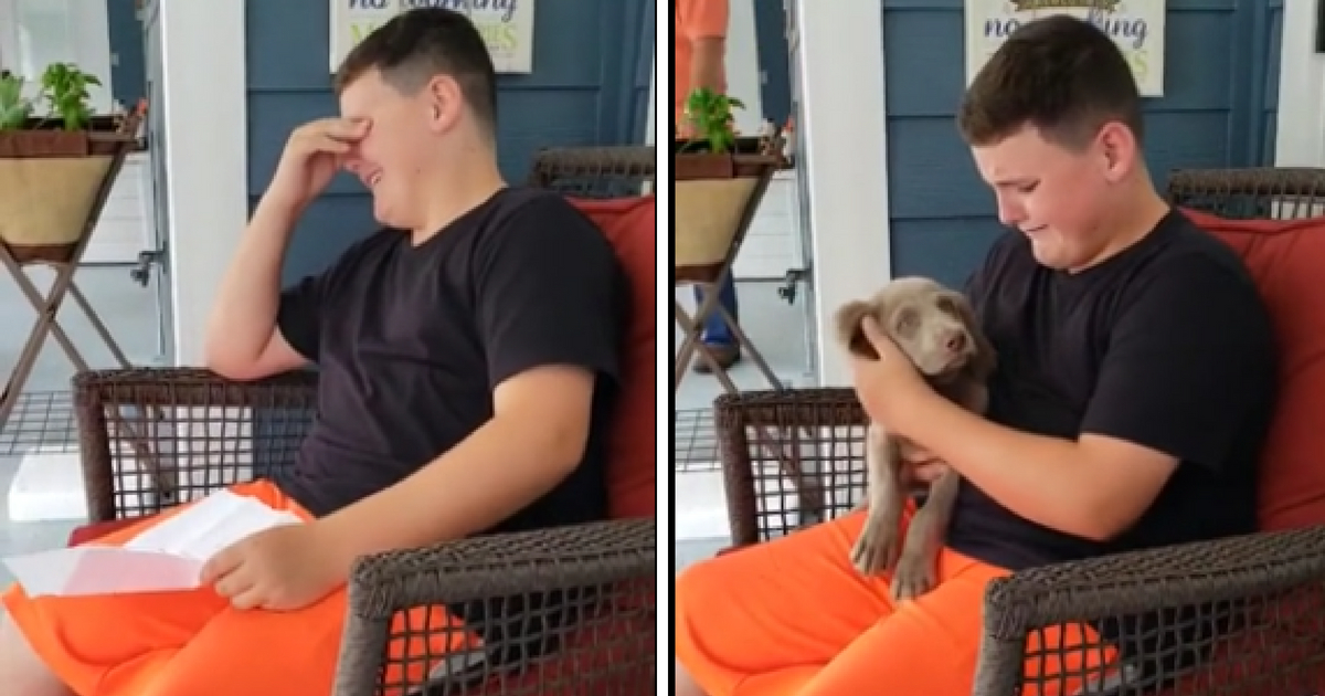 Little boy cries over his new puppy