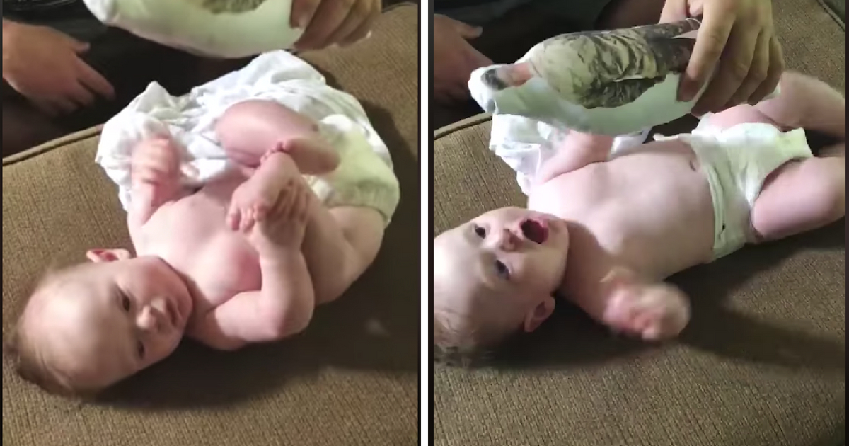 This baby has a priceless reaction when he hears his dad's voice through a military doll.