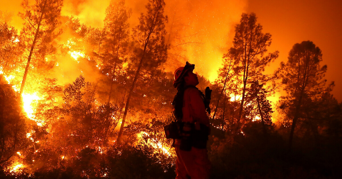 A firefighter monitors a back fire while battling the Medocino Complex fire on August 7, 2018 near Lodoga, California.