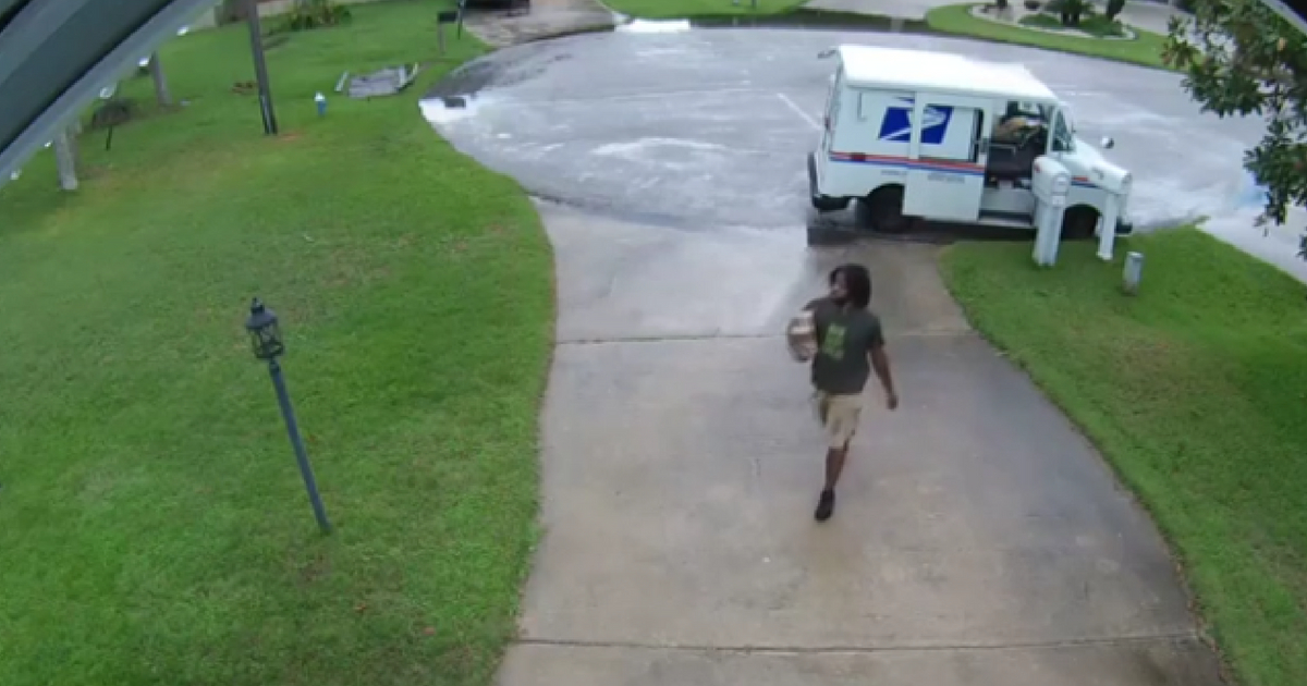 Dog steals packages from neighbor