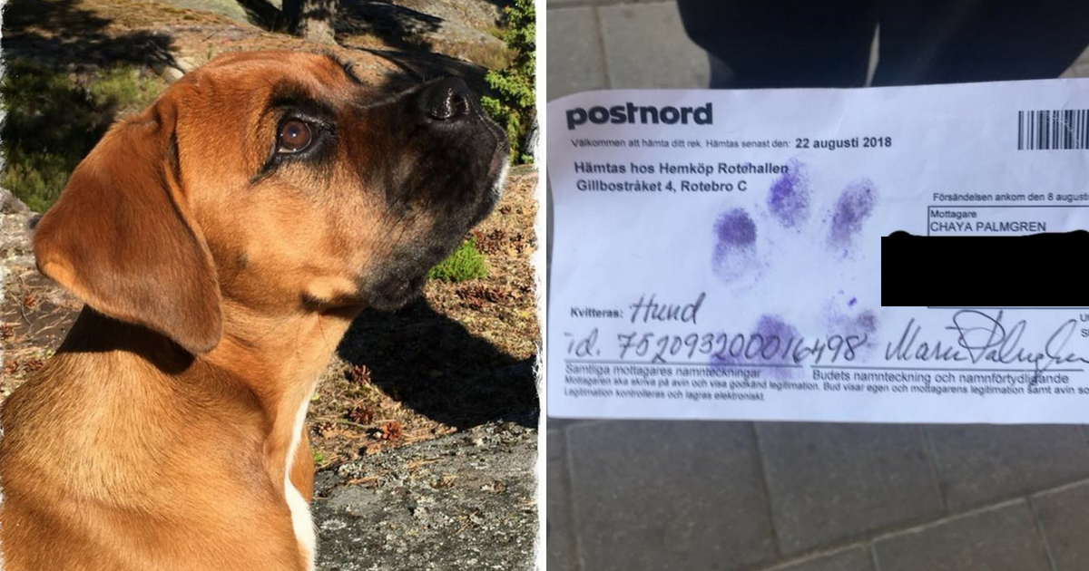 A boxer mixed next to the paper he had to sign to receive a package.