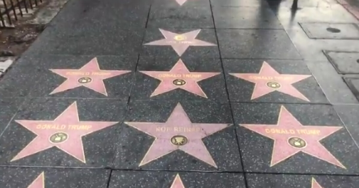 An Anti-PC street art group scattered dozens of laminated Donald Trump stars around other Hollywood stars.