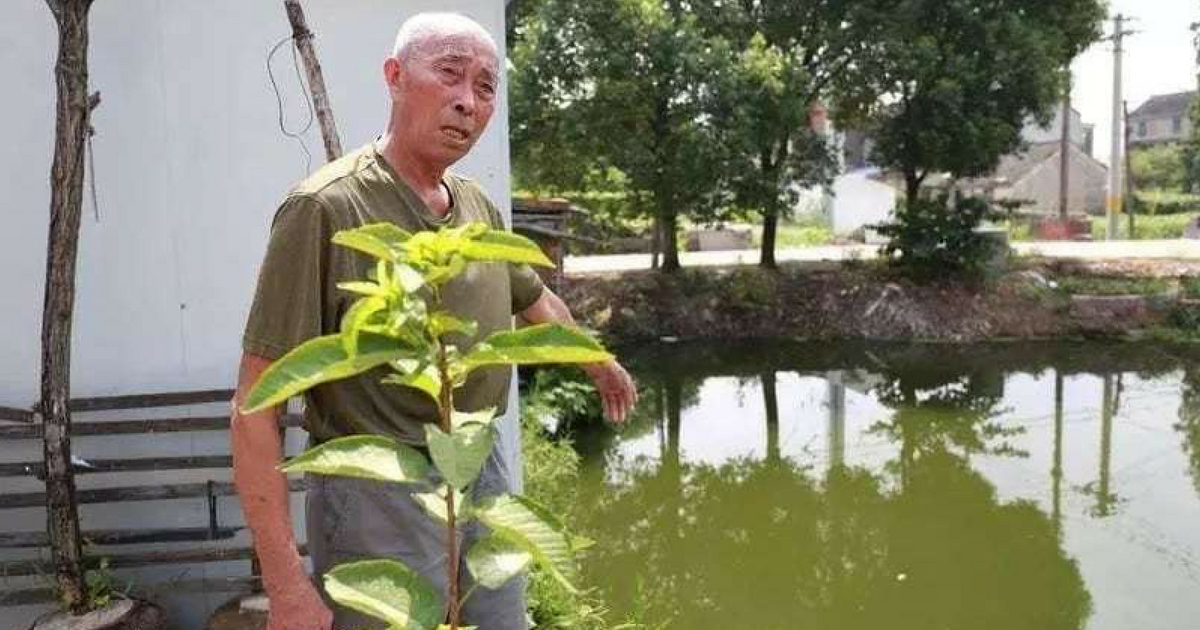 An 80-year-old man rescued a drowning boy, and saved his father 30 years earlier.