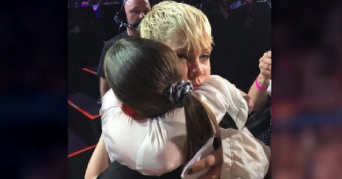 Pink Hugs Fan