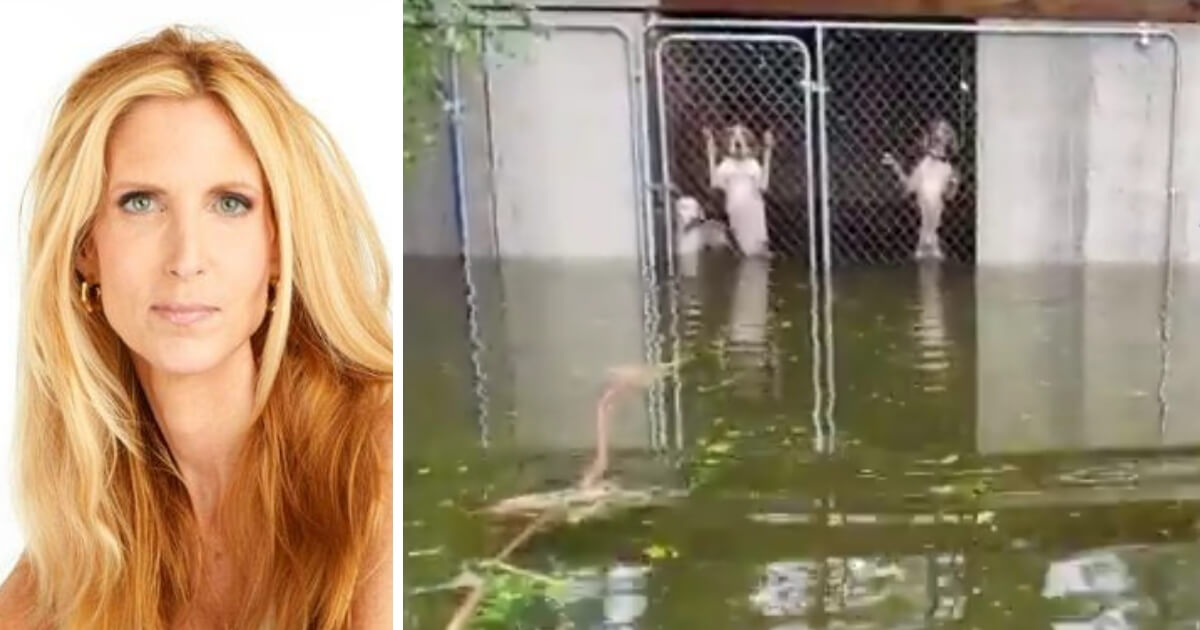 Political pundit Ann Coulter, left, had strong words about a video showing six dogs locked in a cage in the floodwaters of Hurricane Florence.