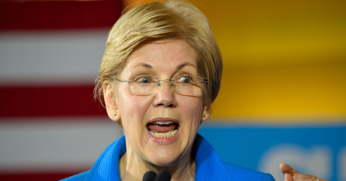 Massachusetts Sen. Elizabeth Warren appears on MSNBC