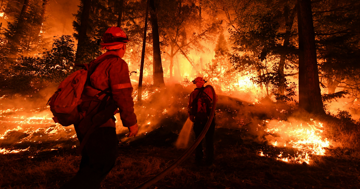 Firefighters try to control a back burn near Redding, California, on July 31.
