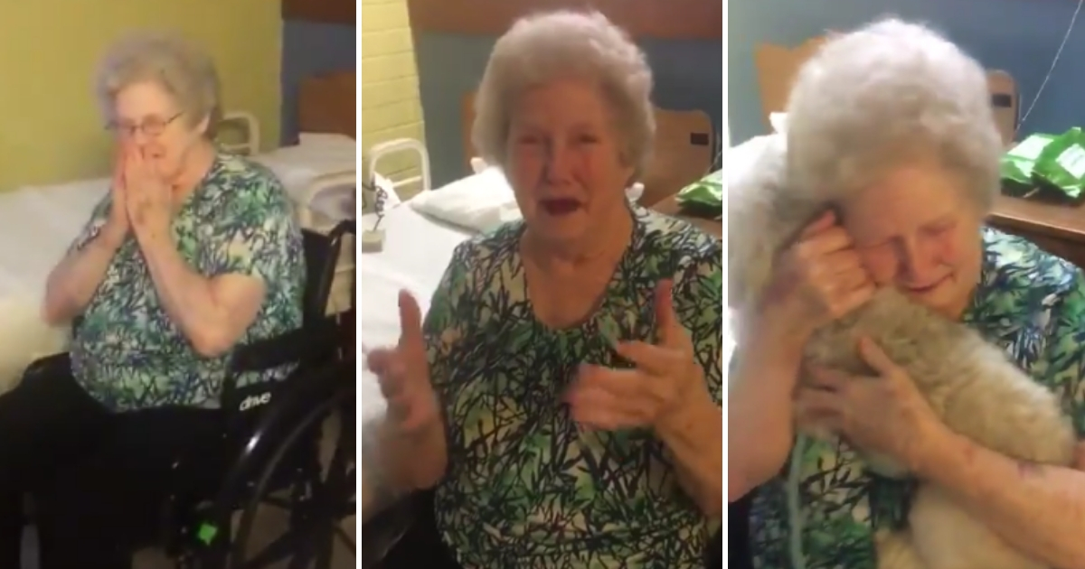 Granny Surprised with Puppy