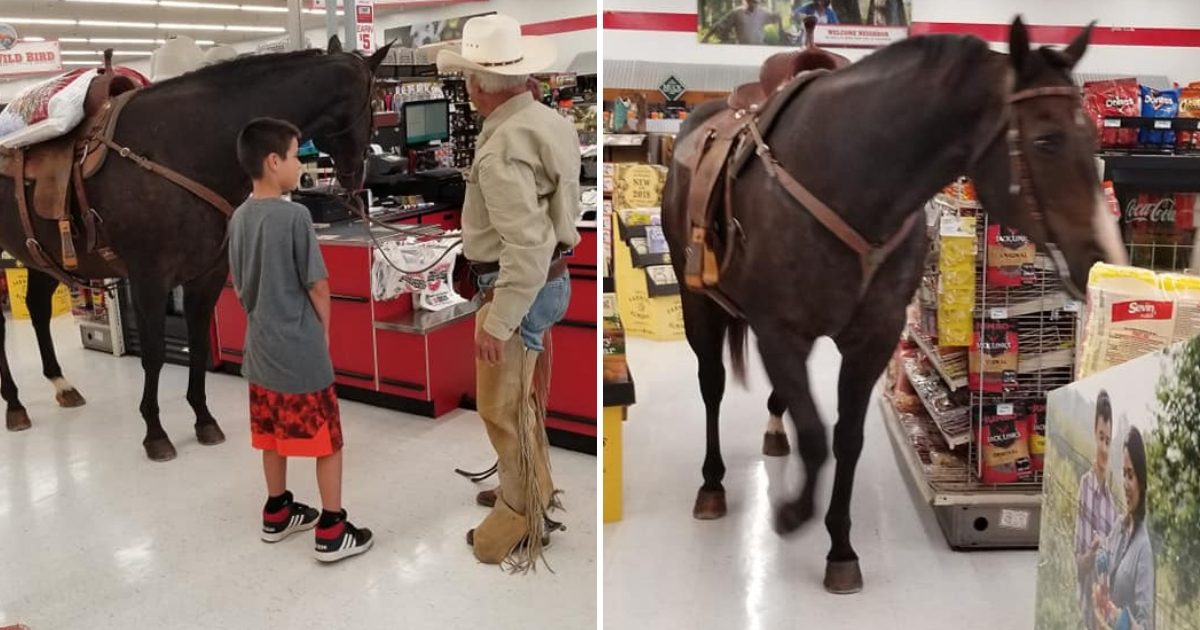 A cowboy stands with his horse inside a store.