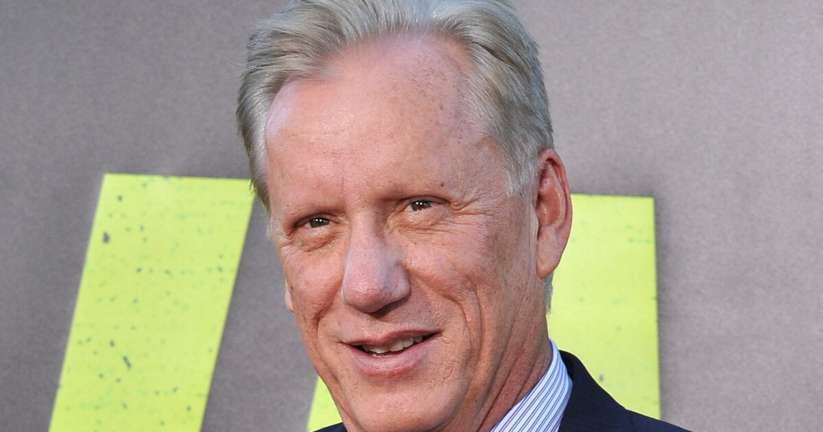 James Woods at the 2012 world premiere of "Savages" at Mann Village Theatre, Westwood, California.