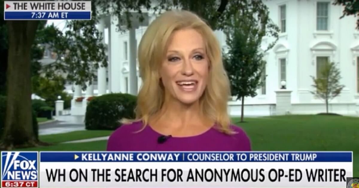 Kellyanne Conway interviewed outside White House.