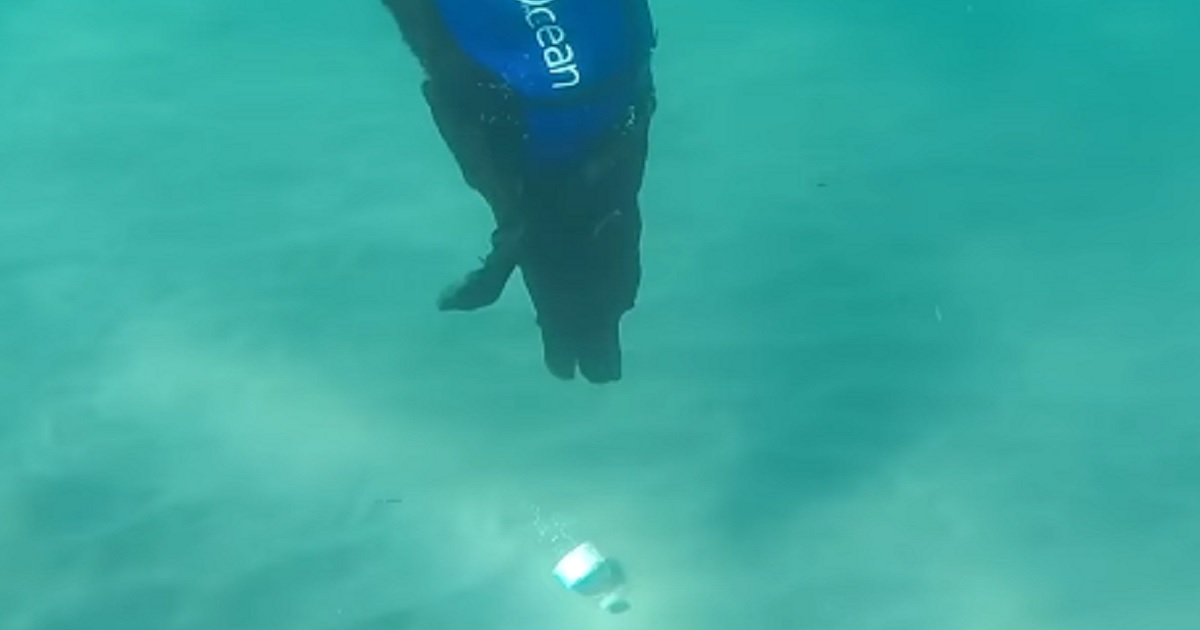 Dog underwater picking up plastic bottle.