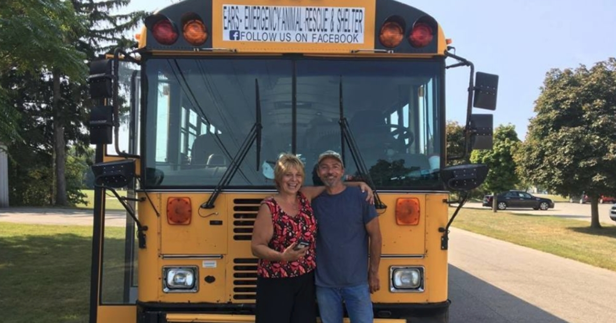 Man Rescues Shelter Animals by Bus