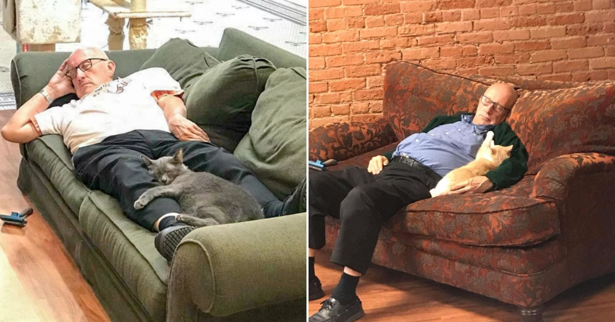 An elderly man sleeps with cats on couches.