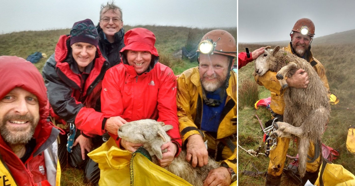 Rescue team with a sheep they rescued.