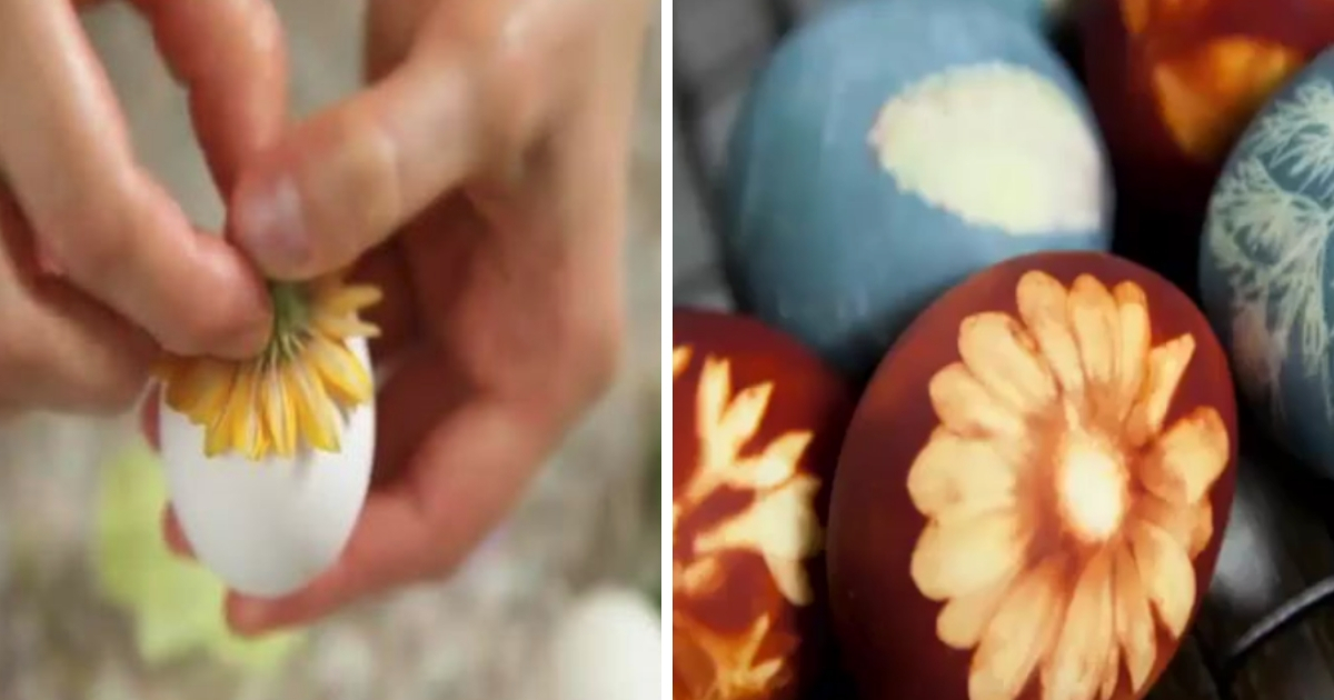 Before and after pictures of egg art.