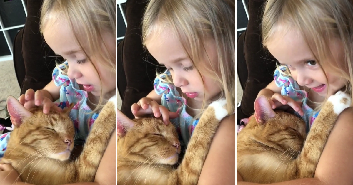 Little girl holds her orange tabby cat and sings to him.