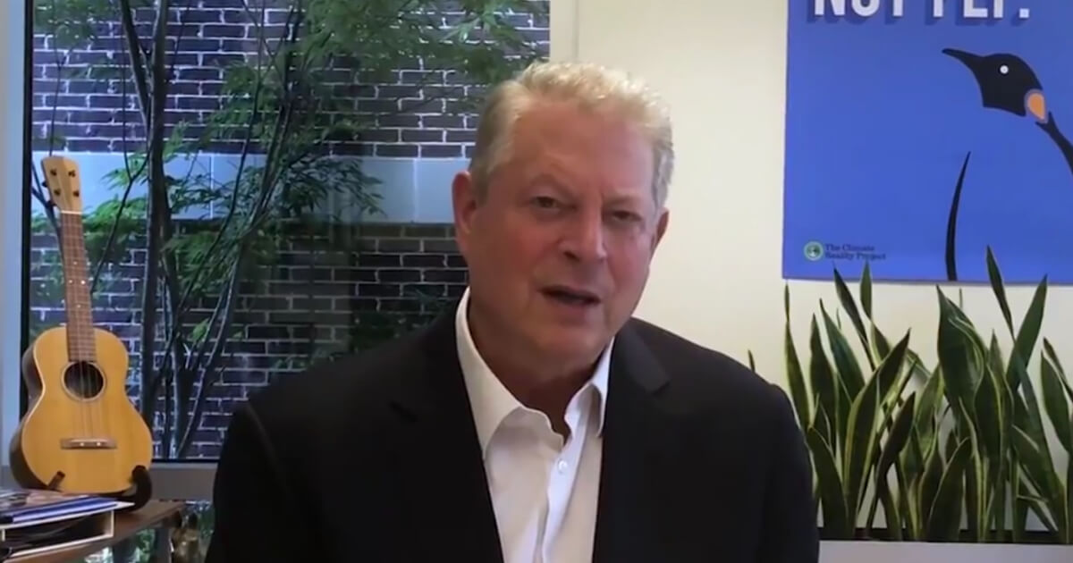 Former Vice President Al Gore endorsed a fictional penguin for Congress.