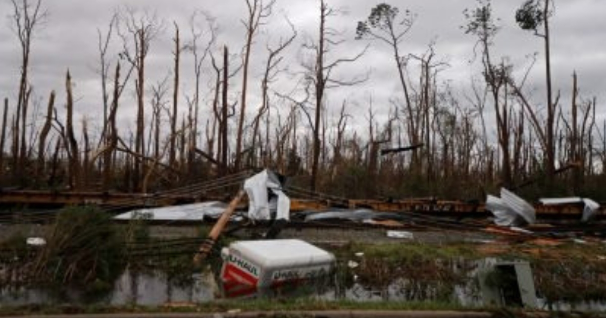 Shredded trees, derailed train cars and a sunken trailer are seen Wednesday in the aftermath of Hurricane Michael in Panama City, Florida.