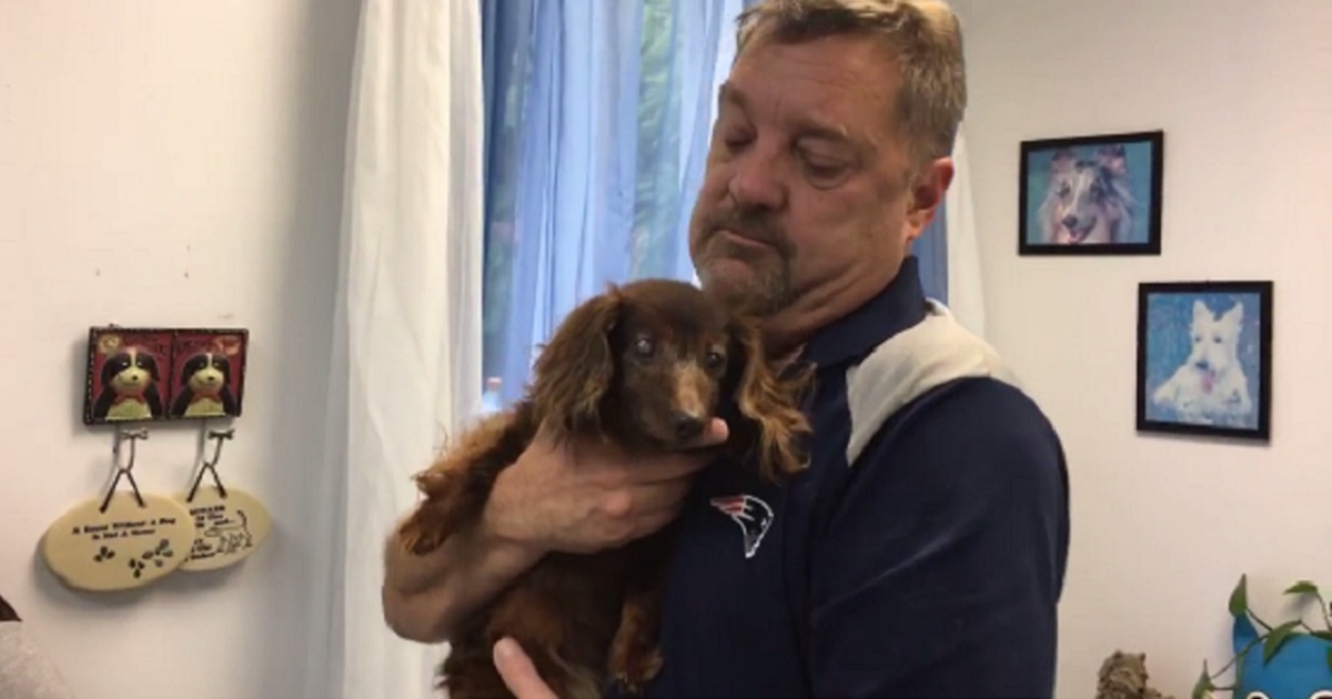 Lady the dachsund with Rick Riendeau.