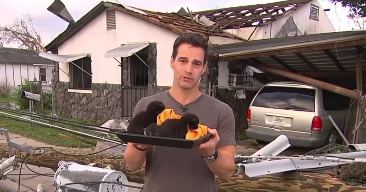 A man holds tray of kittens outside of a destroyed home.