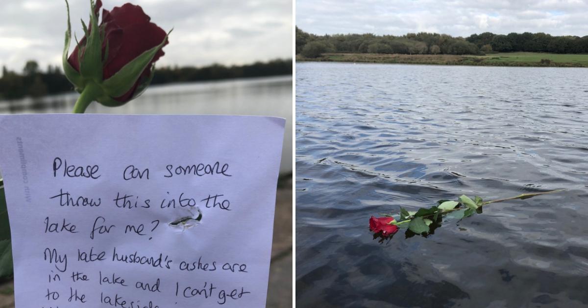 A rose with a note, left, and a rose in a lake, right.