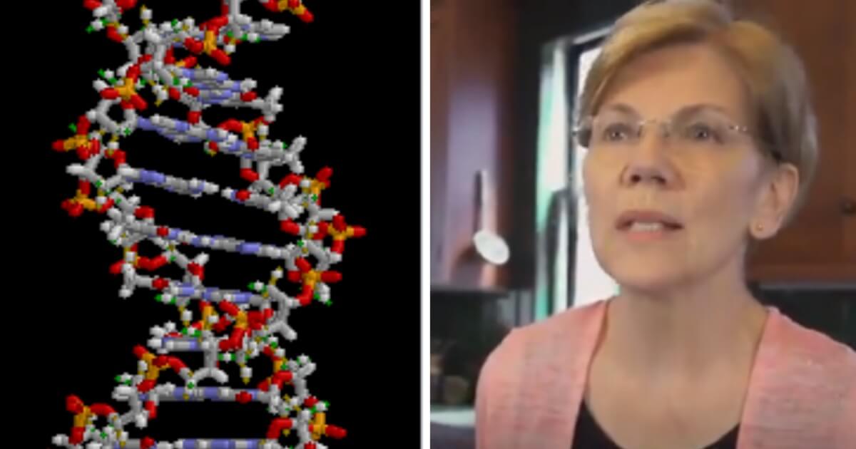 Elizabeth Warren pictured next to a DNA double helix image