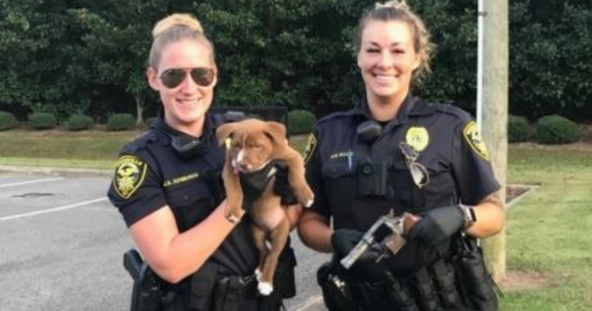Two cops with a puppy.
