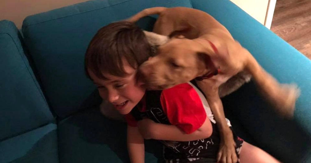 A little boy loving on his dog.