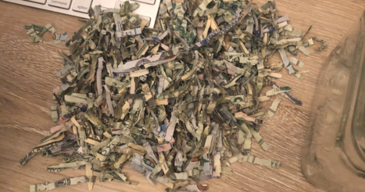 A pile of shredded money