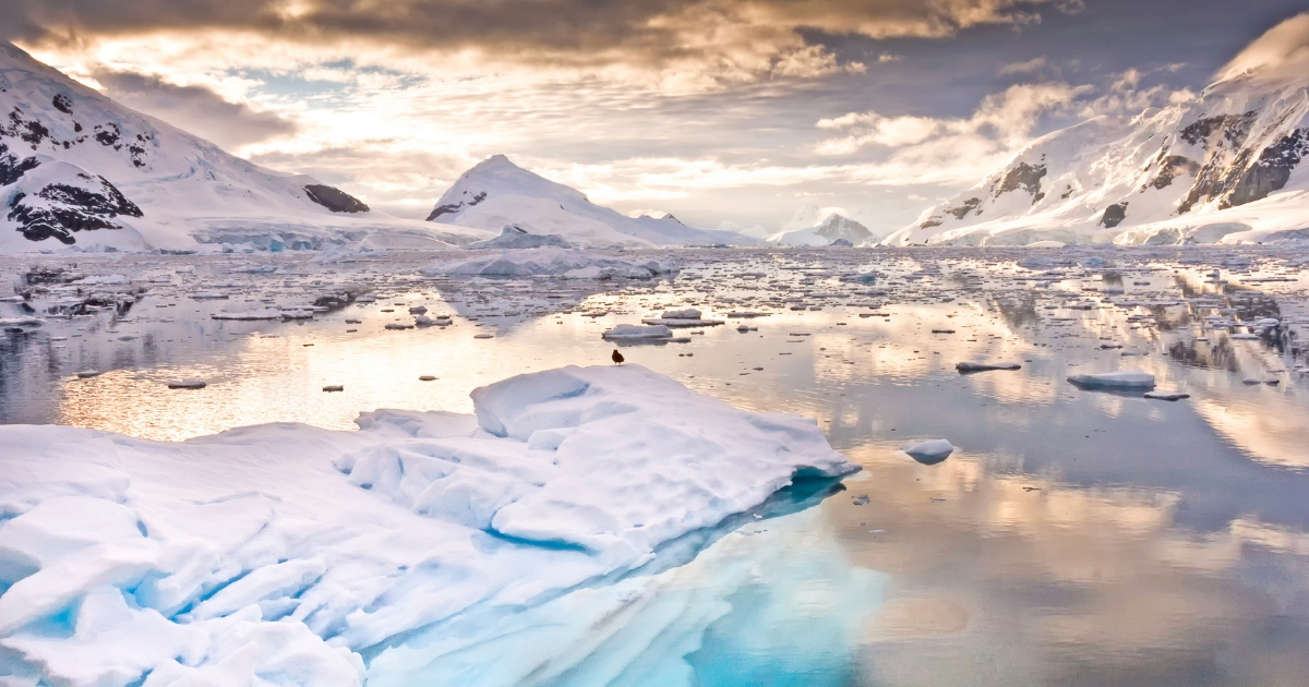 Paradise Bay Antarctica