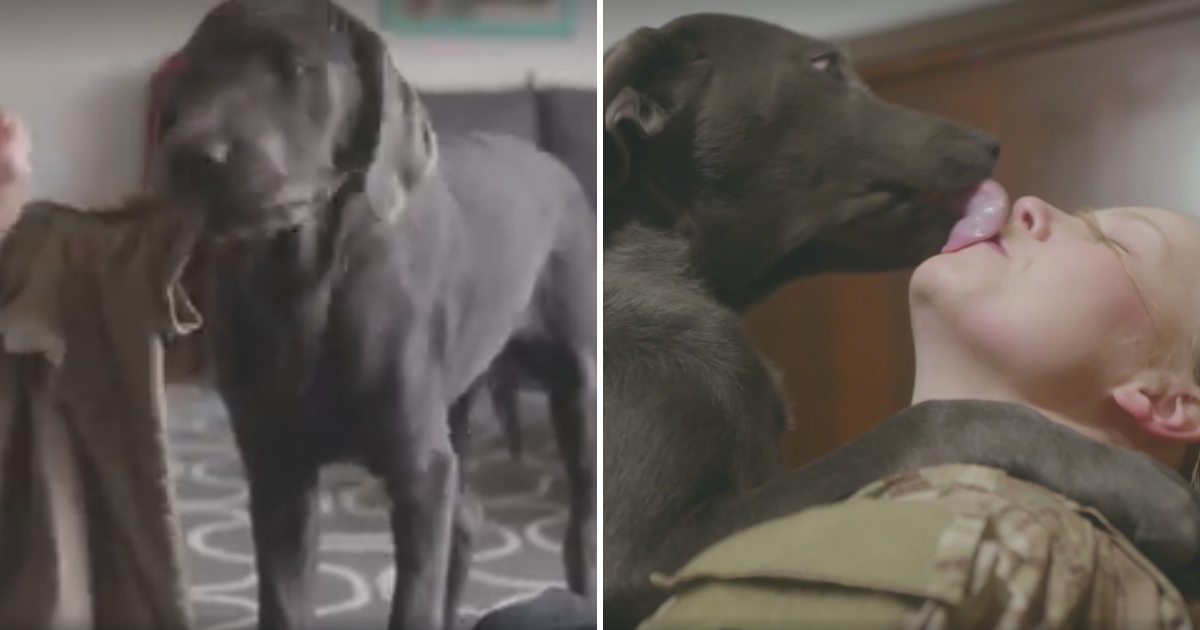 Dog with shirt, left, and dog kissing military mom, right.