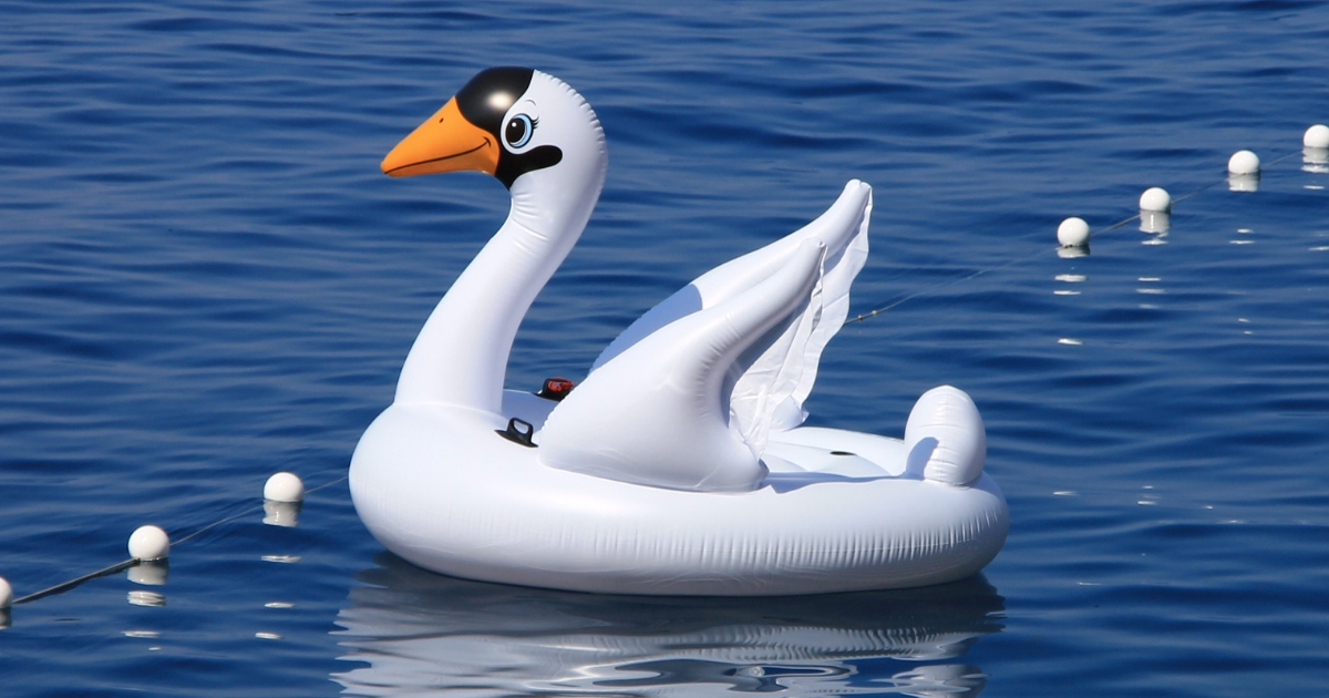Swan Floaty