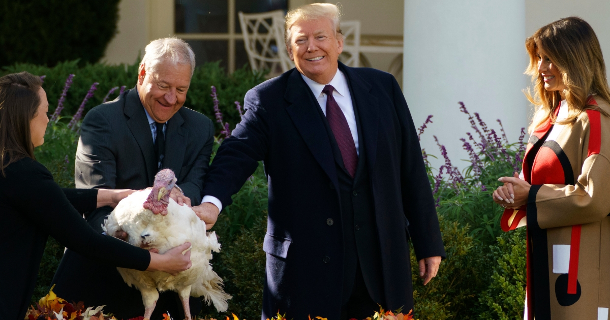 President Donald Trump pets 'Peas' during a ceremony to pardon the National Thanksgiving Turkey in the Rose Garden of the White House on Tuesday. Also on hand was first lady Melania Trump and Jeff Sveen, chairman of the National Turkey Federation.
