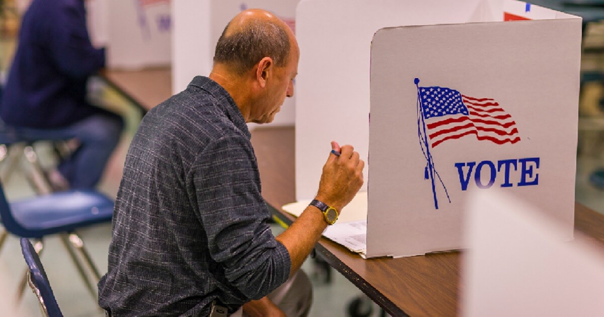A voter ponders his choices during the 2008 election at a polling place in Fairfax County, Virginia.